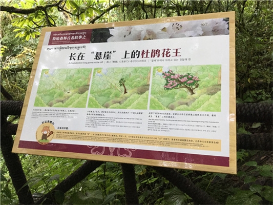 廣告標識標牌設(shè)計制作的一些原則